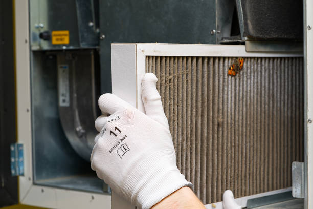 Best Air Duct Cleaning Company Near Me  in Adelphi, MD