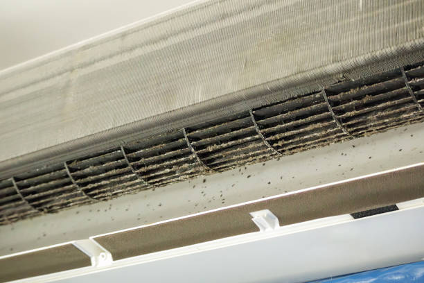 Best Ductwork Cleaning Services  in Adelphi, MD